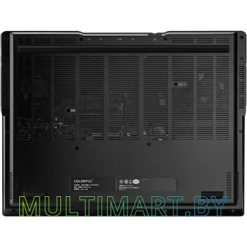 Игровой ноутбук Colorful EVOL X16 PRO (A10205400060) картинка 13